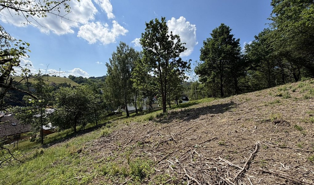 Prodej stavebního pozemku 1 781 m², Hošťálková – náhled fotky 10