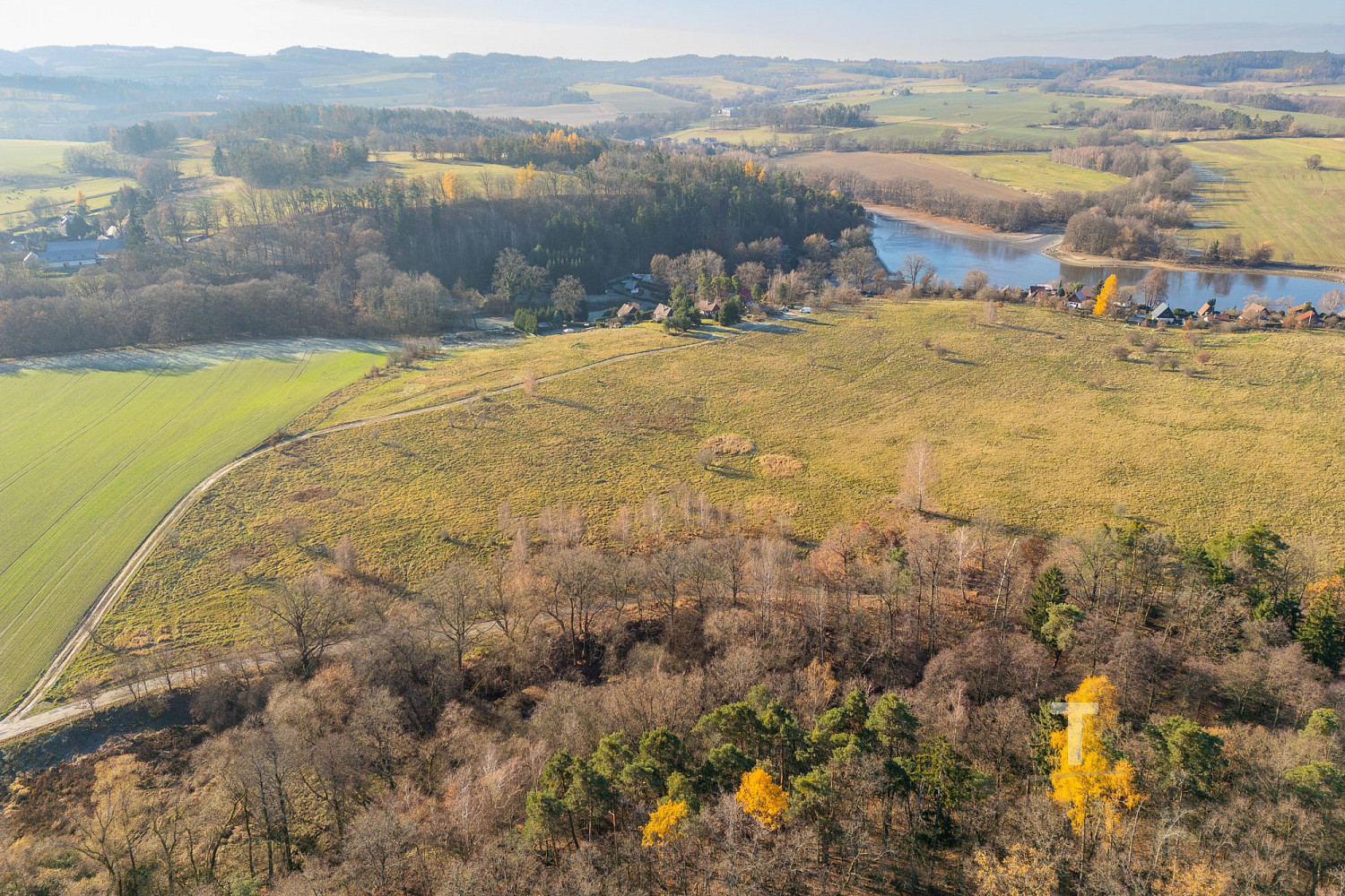 Prodej lesa 19 533 m² – fotografie 2