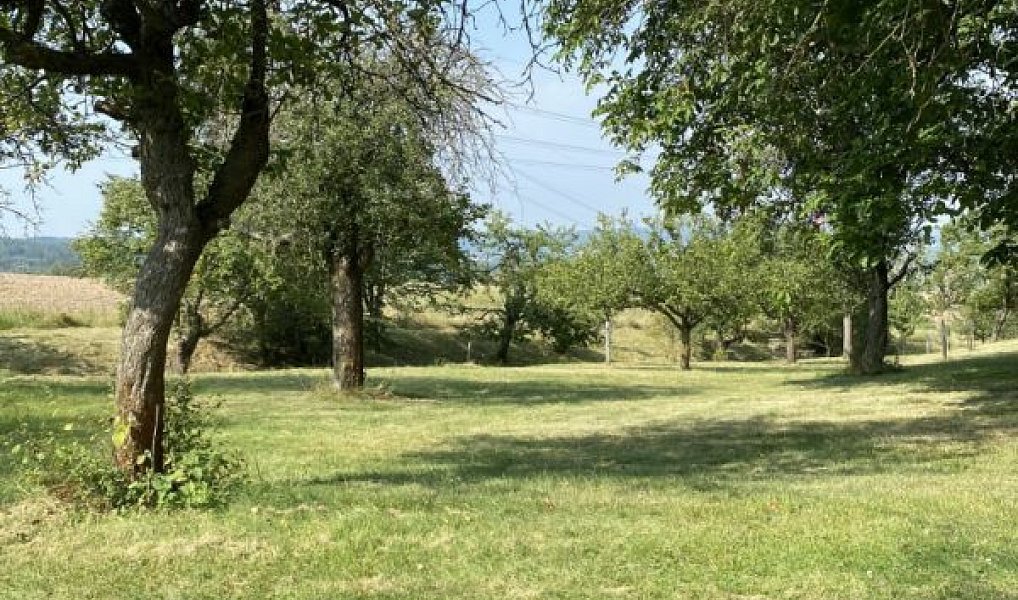 Prodej stavebního pozemku 3 359 m², Petrovice – náhled fotky 2