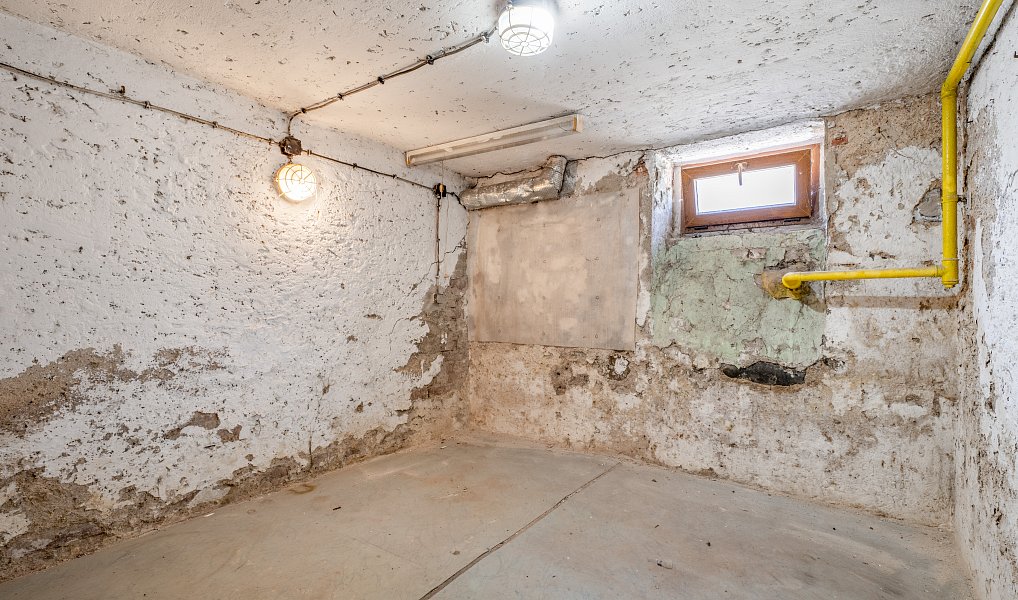 Prodej domu 150 m² s pozemkem 100 m², Trmice – náhled fotky 19