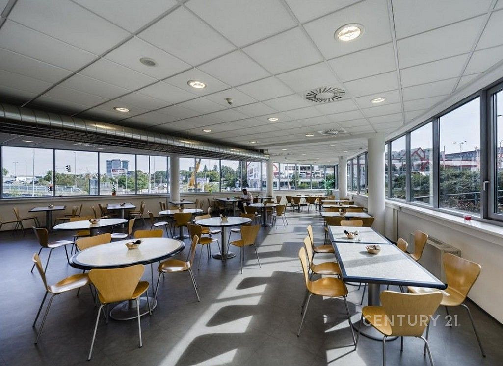 Pronájem kanceláře 250 m² – fotografie 5