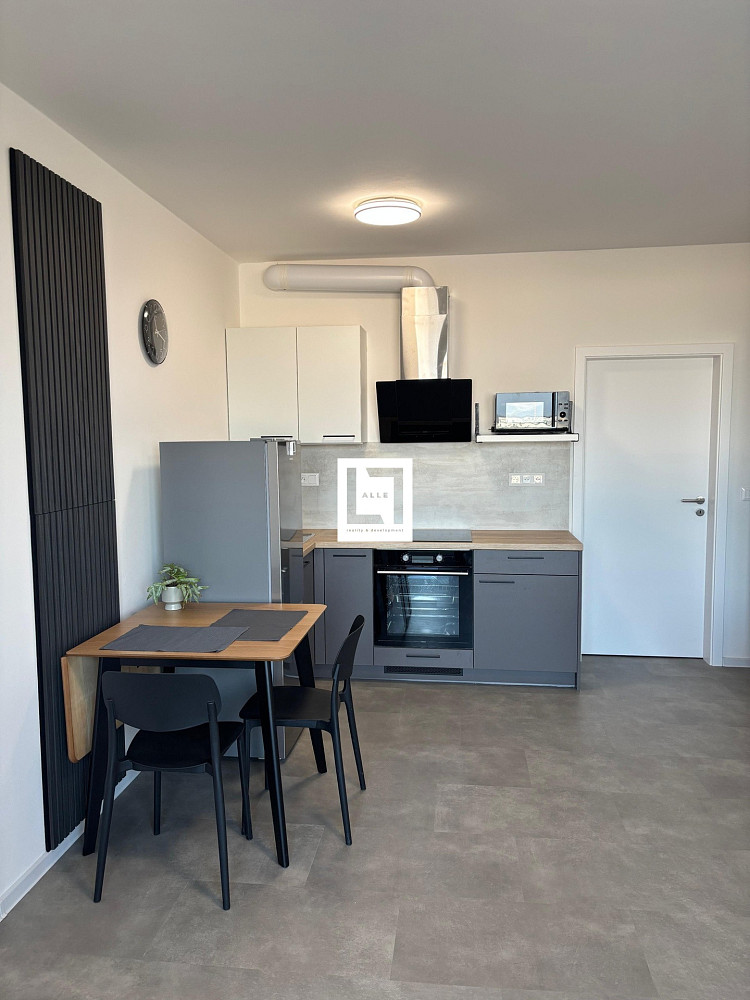 Pronájem bytu 1+kk 31 m² — photo 3