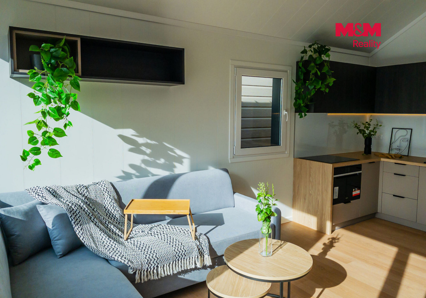 Prodej domu 55 m² s pozemkem 1 345 m² – fotografie 3