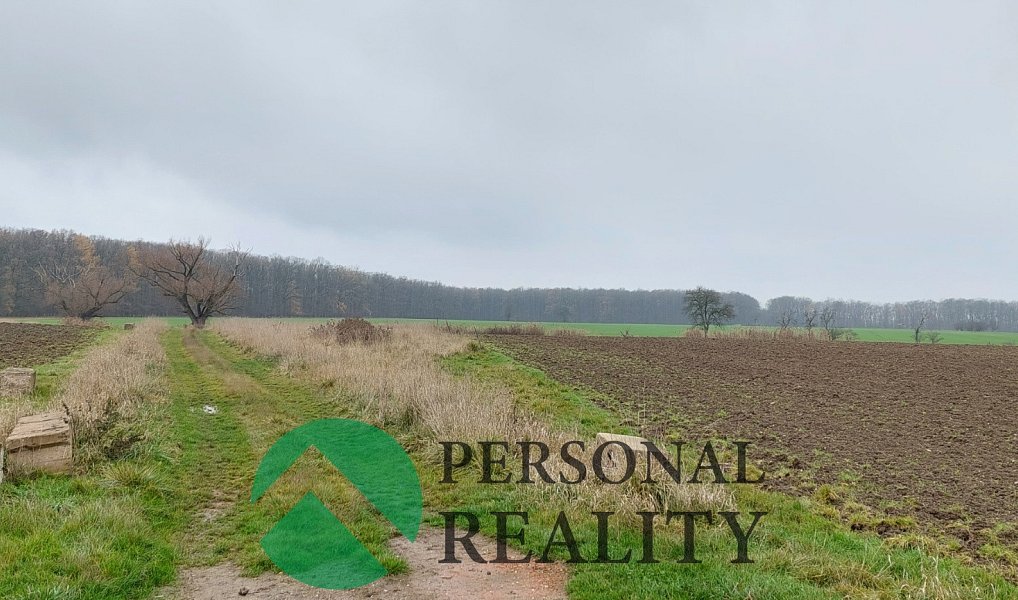 Prodej pole 3 093 m², Lodín – náhled fotky 11