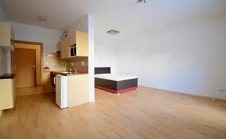 Pronájem bytu 1+kk 38 m²