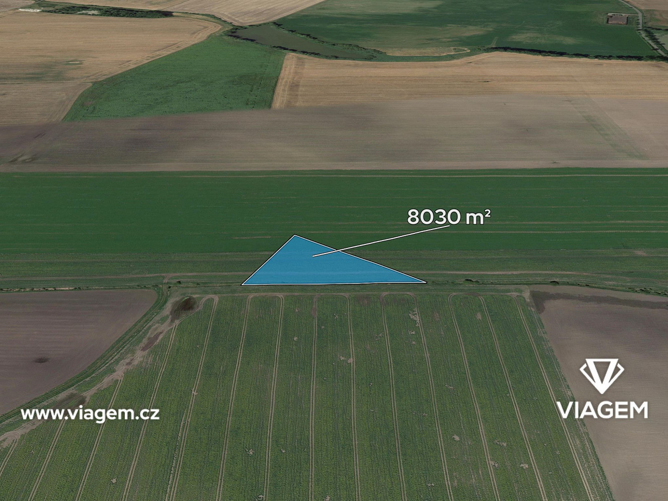 Prodej pole 1 606 m²