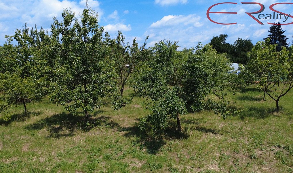 Prodej zahrady 2 335 m², Horní Počaply – náhled fotky 7