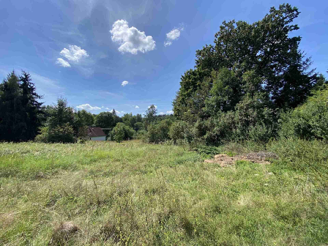 Prodej zahrady 2 258 m² – fotografie 3