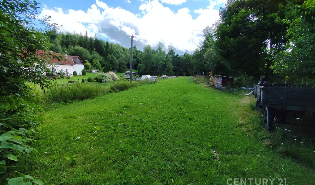 Prodej zahrady 4 886 m², Včelnička – náhled fotky 4