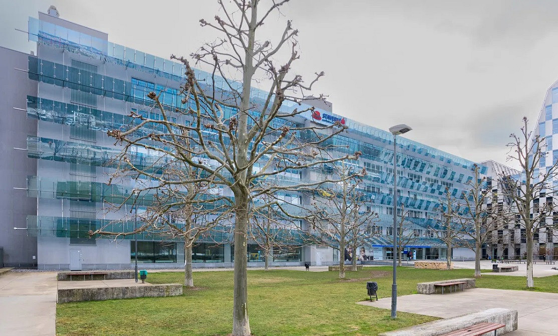 Pronájem kanceláře 526 m²