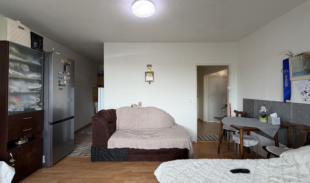 Prodej bytu 2+kk 45 m², Brno – náhled fotky 8