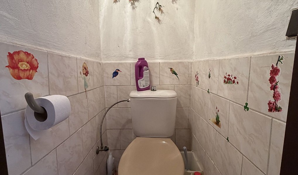 Prodej domu 86 m² s pozemkem 377 m², Čechy pod Kosířem – náhled fotky 16