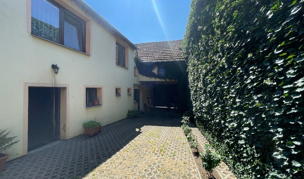 Prodej domu 177 m² s pozemkem 379 m², Nové Syrovice – náhled fotky 3