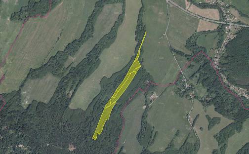 Prodej pole 12 973 m², Stružnice, okres Česká Lípa