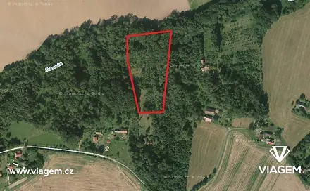 Prodej lesa 2 241 m², Sobotka, okres Jičín