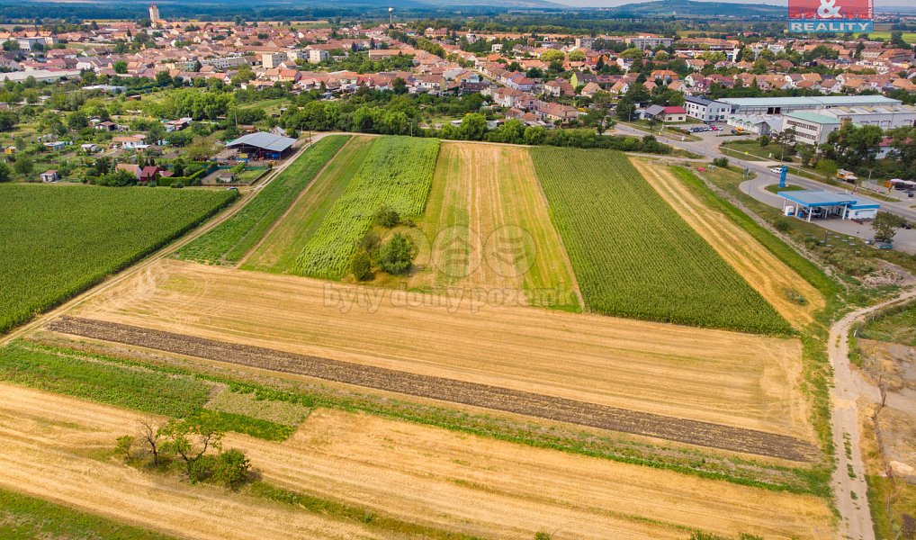 Prodej pole 2 005 m², Podivín – náhled fotky 5