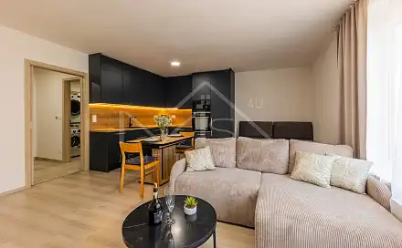 Pronájem bytu 1+kk 48 m²