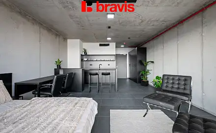 Pronájem bytu 1+kk 40 m², Královopolská, Brno - Žabovřesky