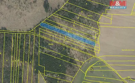Prodej lesa 3 290 m², Stehlovice, okres Písek