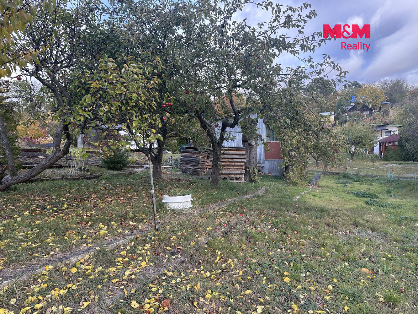Fotka 11 z 17