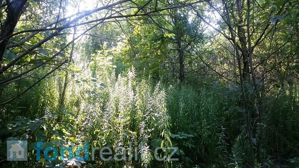Prodej pozemku 1 510 m² – fotografie 2