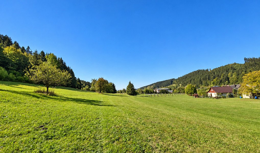 Prodej stavebního pozemku 3 256 m², Velké Karlovice – náhled fotky 8