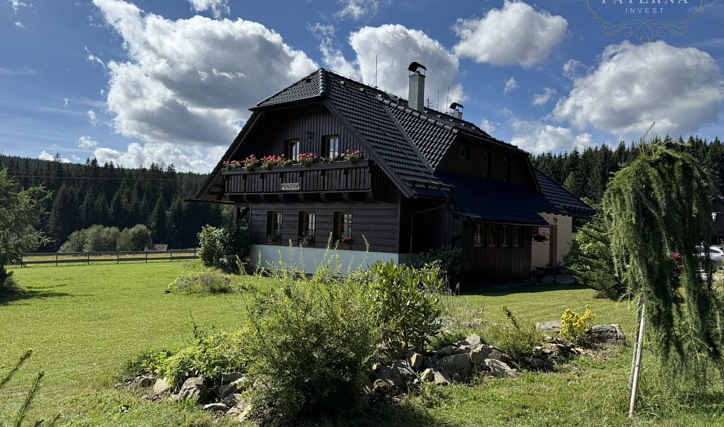 Prodej domu 300 m² s pozemkem 5 000 m², Nové Hutě – náhled fotky 2
