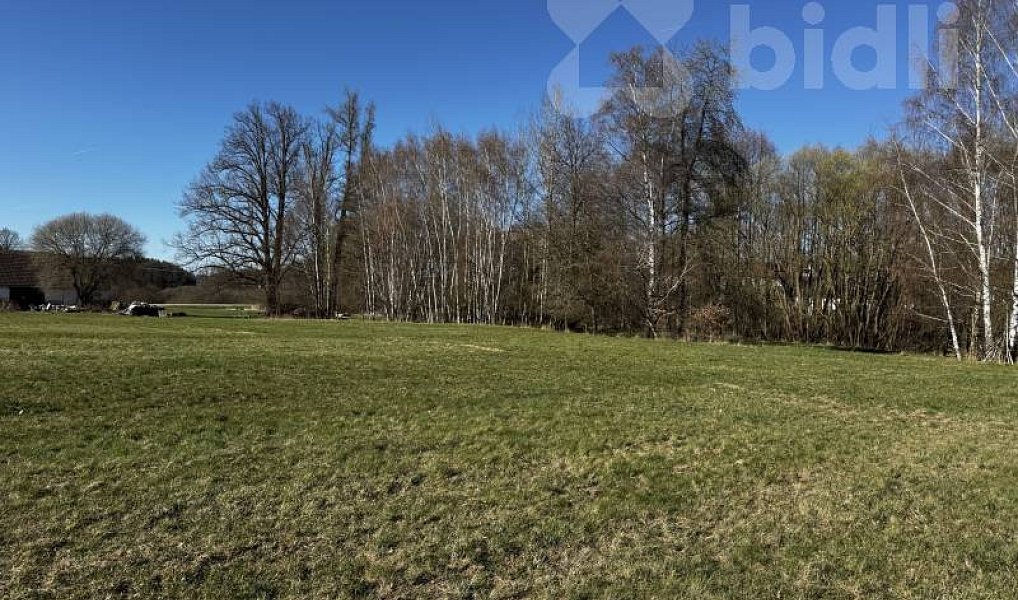 Prodej stavebního pozemku 3 293 m², Horní Stropnice – náhled fotky 4