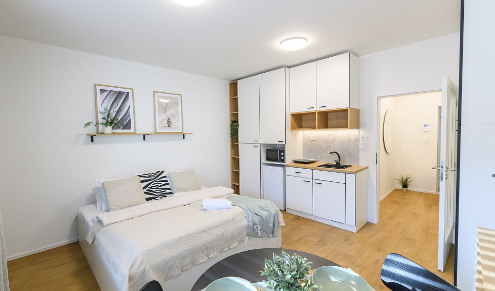 Pronájem bytu 1+kk 27 m², Brno – náhled fotky 8