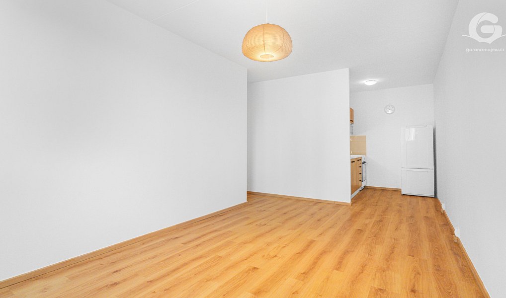 Pronájem bytu 2+kk 45 m², Praha – náhled fotky 3