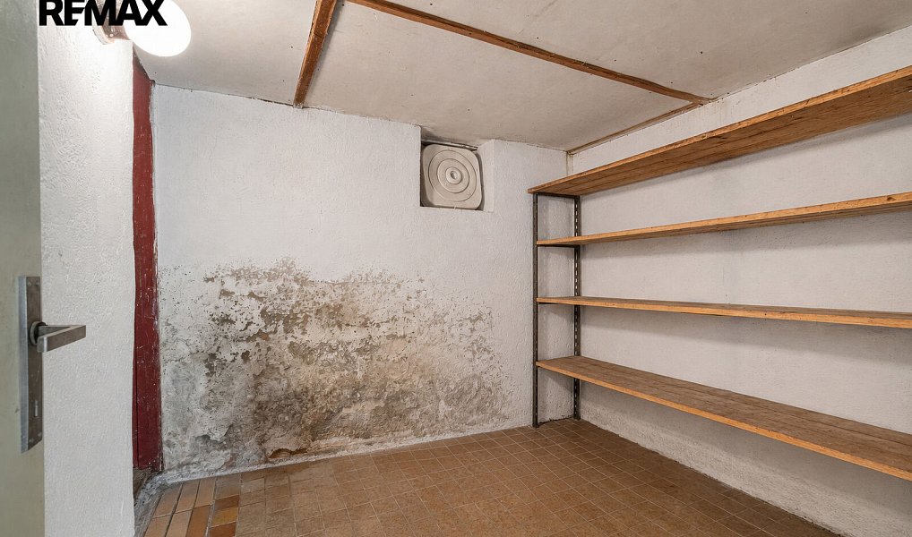 Prodej domu 173 m² s pozemkem 1 876 m², Mladý Smolivec – náhled fotky 55