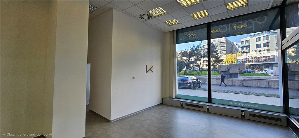 Pronájem obchodních prostor 70 m² — photo 3