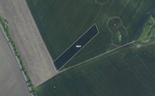 Prodej pole 4 999 m², Svatý Mikuláš - Svatá Kateřina, okres Kutná Hora