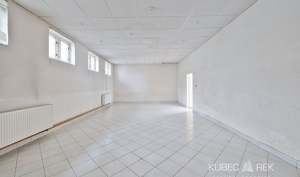Prodej obchodních prostor 237 m², Tábor – náhled fotky 9