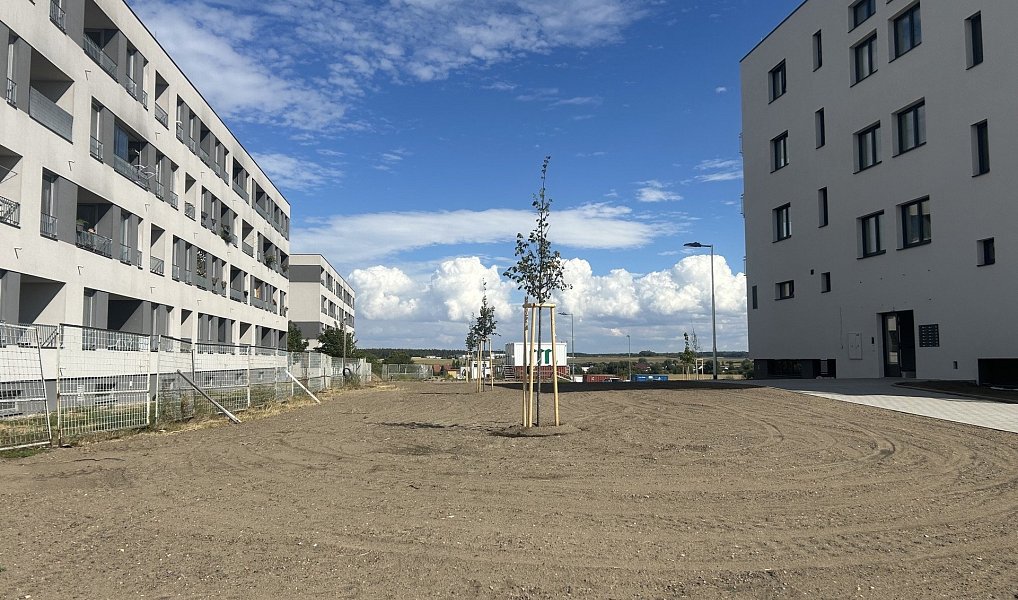 Pronájem bytu 2+kk 50 m², Přelouč – náhled fotky 13