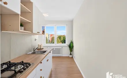 Prodej bytu 1+1 40 m²