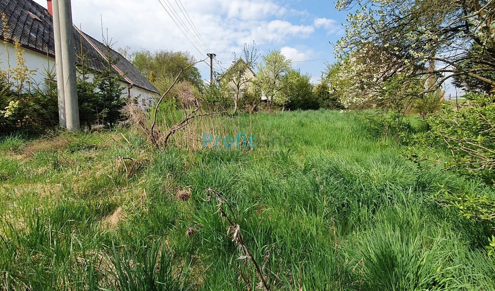 Prodej zahrady 1 714 m², Kosov – náhled fotky 7
