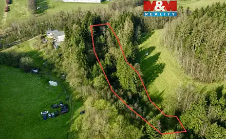 Prodej lesa 4 113 m², Dolní Dobrouč - Lanšperk, okres Ústí nad Orlicí