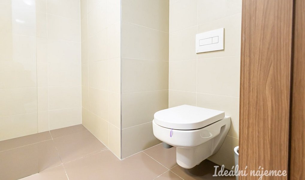Pronájem bytu 2+kk 44 m², Praha – náhled fotky 11