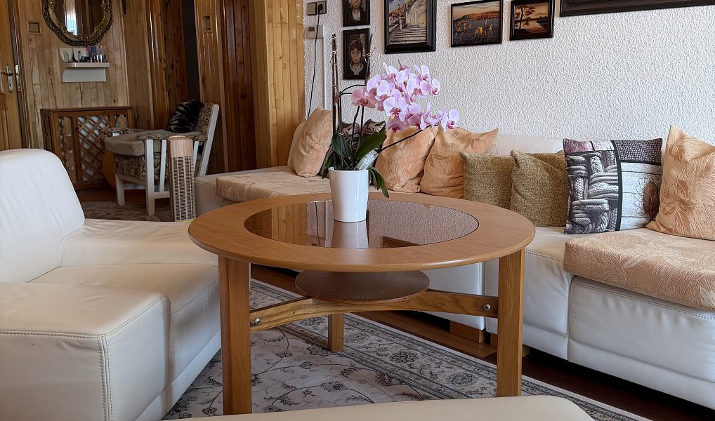 Prodej domu 250 m² s pozemkem 1 245 m², Spálov – náhled fotky 10