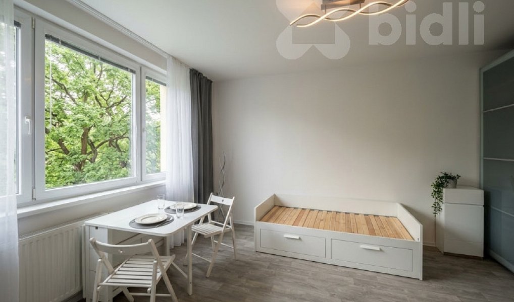 Pronájem bytu 1+1 28 m², Praha – náhled fotky 3