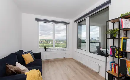 Pronájem bytu 1+kk 45 m²