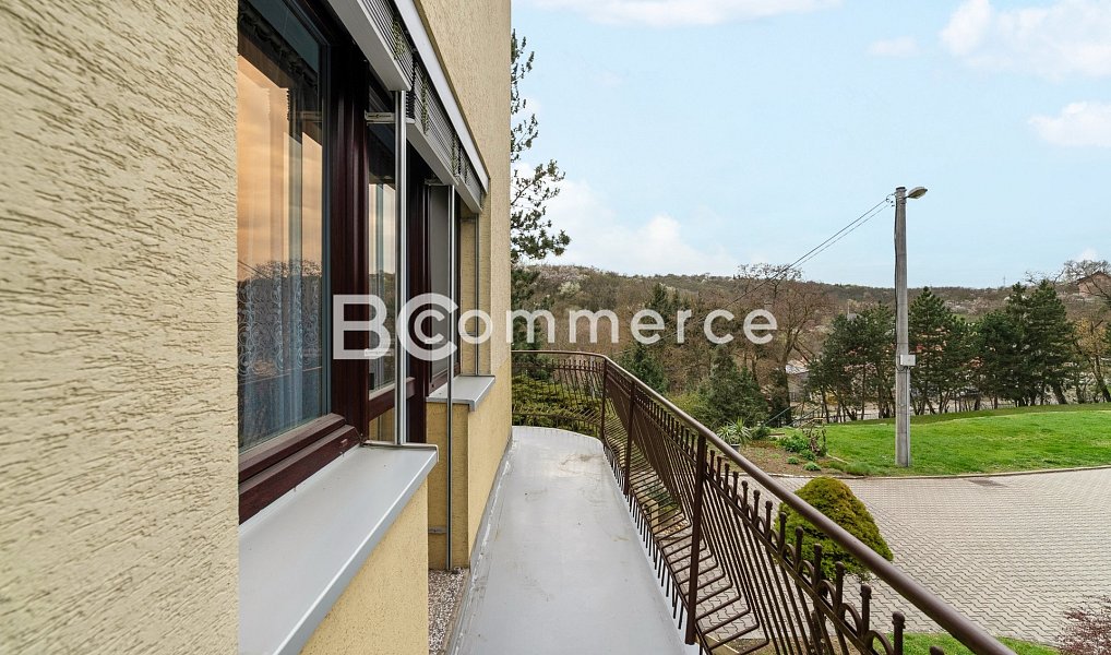 Prodej domu 270 m² s pozemkem 4 446 m², Dolní Kounice – náhled fotky 29