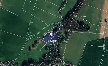 Prodej louky 5 172 m², Načešice, okres Chrudim