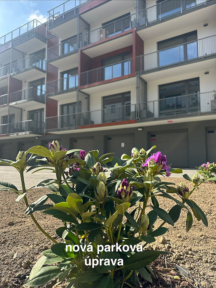 Pronájem bytu 1+kk 42 m² — photo 2