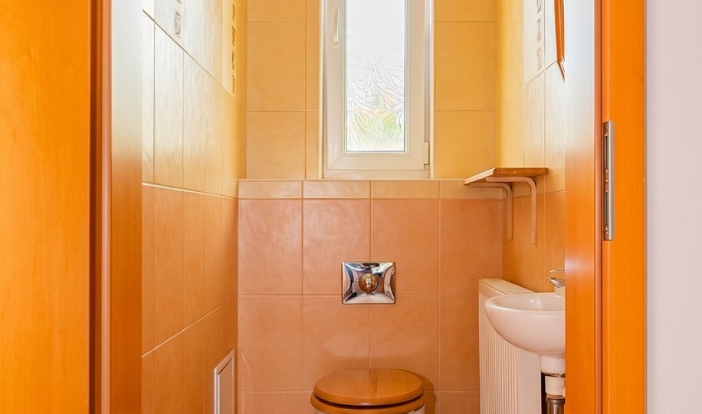 Prodej domu 123 m² s pozemkem 410 m², Bašť – náhled fotky 7