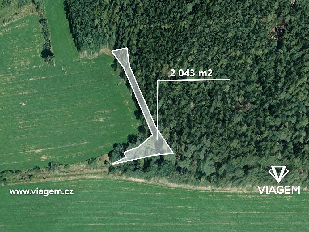 Prodej lesa 510 m²