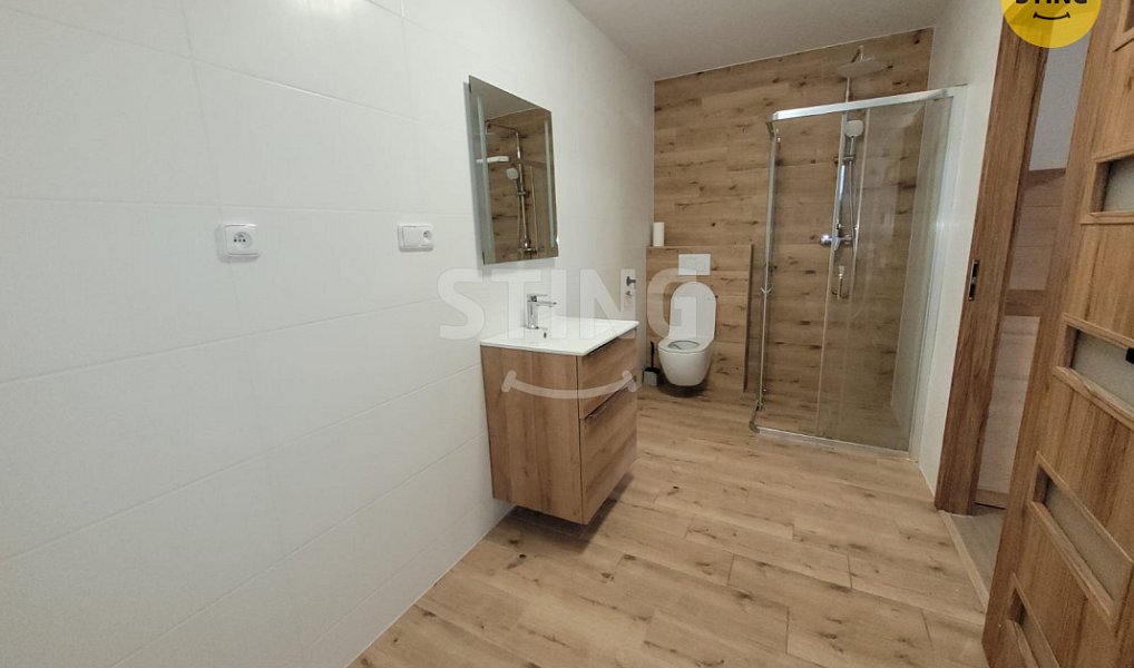 Pronájem bytu 1+kk 30 m², Ostrava – náhled fotky 2