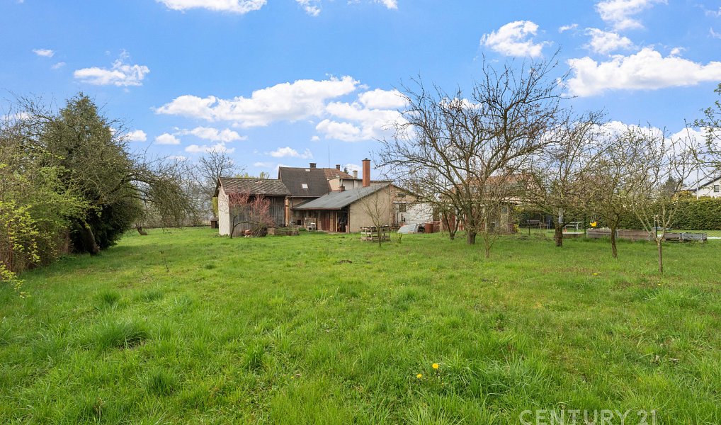 Prodej domu 128 m² s pozemkem 1 243 m², Doudleby nad Orlicí – náhled fotky 19