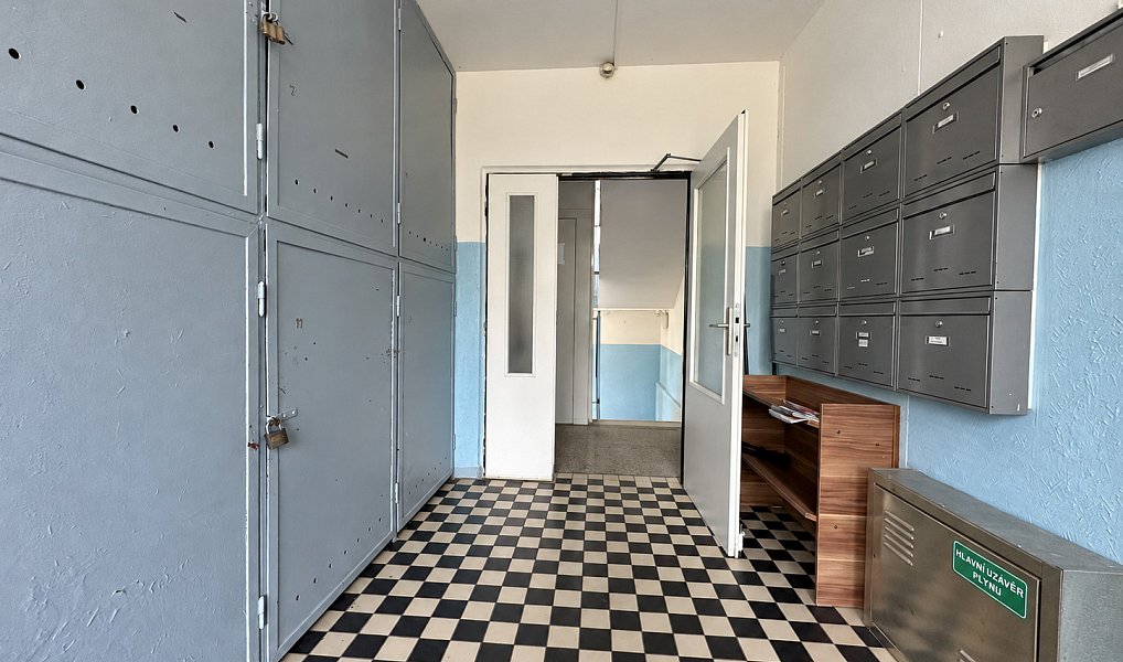 Pronájem bytu 3+1 63 m², Plzeň – náhled fotky 16